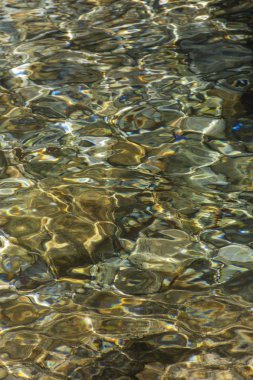 Serrinha nehrindeki su yansımaları, Rio de Janeiro, Brezilya