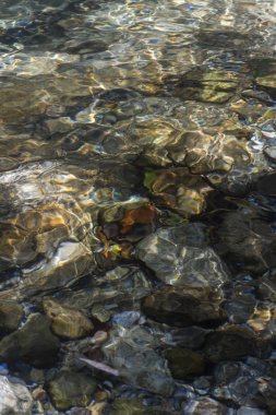 Serrinha nehrindeki su yansımaları, Rio de Janeiro, Brezilya