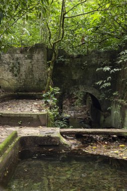 Rio Carioca próximo à nascente, na altura da Banheira do Imper