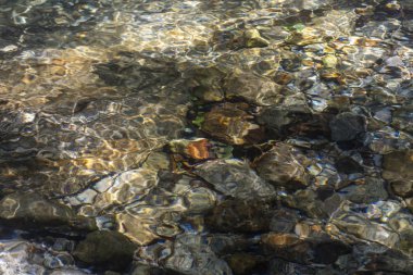 Serrinha nehrindeki su yansımaları, Rio de Janeiro, Brezilya