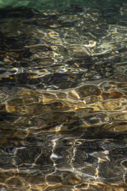 Serrinha nehrindeki su yansımaları, Rio de Janeiro, Brezilya