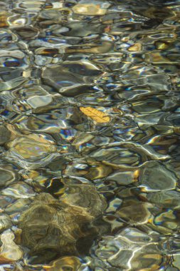 Serrinha nehrindeki su yansımaları, Rio de Janeiro, Brezilya