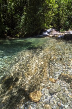 Serrinha, Rio de Janeiro güzel yağmur ormanları nehir manzara