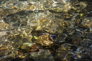 Serrinha nehrindeki su yansımaları, Rio de Janeiro, Brezilya
