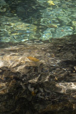 Serrinha nehrindeki su yansımaları, Rio de Janeiro, Brezilya