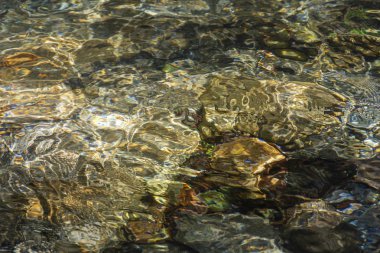 Serrinha nehrindeki su yansımaları, Rio de Janeiro, Brezilya