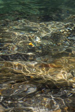 Serrinha nehrindeki su yansımaları, Rio de Janeiro, Brezilya