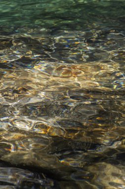 Serrinha nehrindeki su yansımaları, Rio de Janeiro, Brezilya