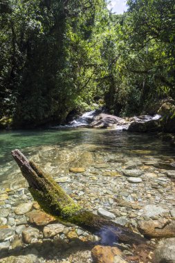 Serrinha, Rio de Janeiro güzel yağmur ormanları nehir manzara
