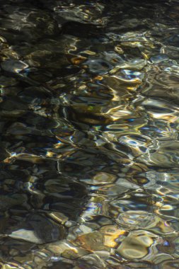 Serrinha nehrindeki su yansımaları, Rio de Janeiro, Brezilya