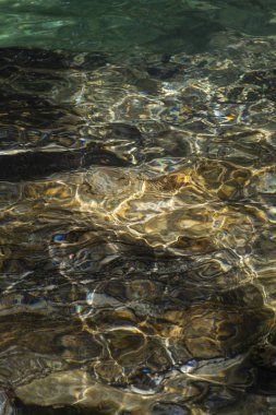 Serrinha nehrindeki su yansımaları, Rio de Janeiro, Brezilya