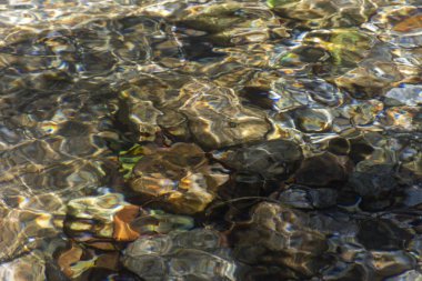 Serrinha nehrindeki su yansımaları, Rio de Janeiro, Brezilya