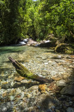 Serrinha, Rio de Janeiro güzel yağmur ormanları nehir manzara