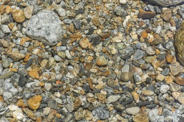 Şeffaf su ile yağmur ormanı nehri üzerinde Kayalar, Serrinha, Rio 