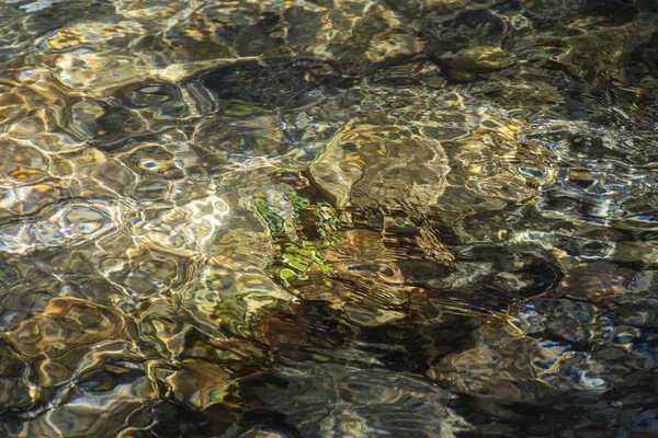 Serrinha nehrindeki su yansımaları, Rio de Janeiro, Brezilya