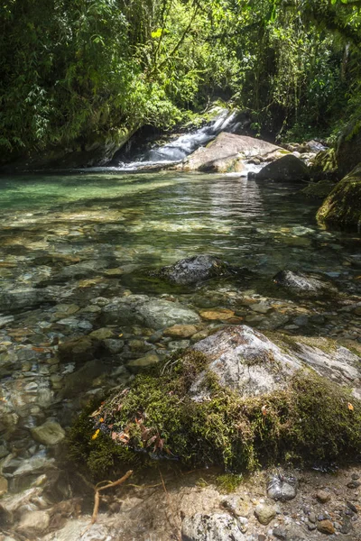 Hermoso paisaje fluvial de selva tropical en Serrinha, Río de Janeiro — Foto de Stock