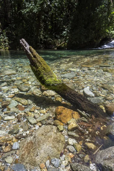 Bela paisagem fluvial da floresta tropical em Serrinha, Rio de Janeiro — Fotografia de Stock