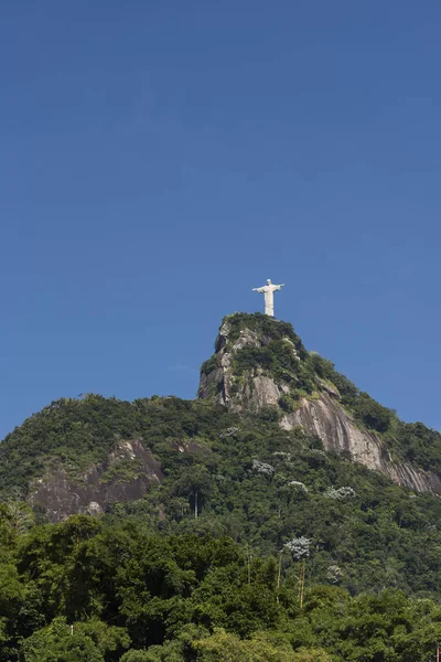 Krisztus a Megváltó szobor tetején zöld erdős Corcovado Mo — Stock Fotó
