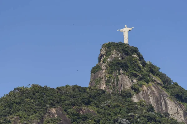 Christ the Redeemer Statue on top of green forested Corcovado Mo — Stock Photo, Image