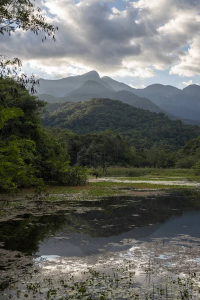 Orman ve m ile yağmur ormanları manzara üzerinde güzel göl görünümü
