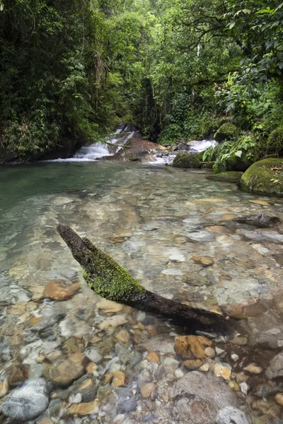 Hermoso paisaje de agua cristalina río y cascada i — Foto de Stock