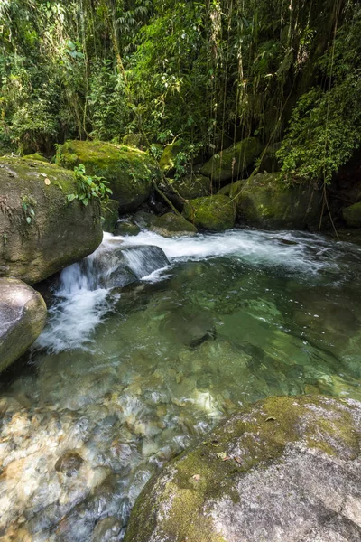 里约热内卢Serrinha do Alambari美丽的热带雨林瀑布 — 图库照片