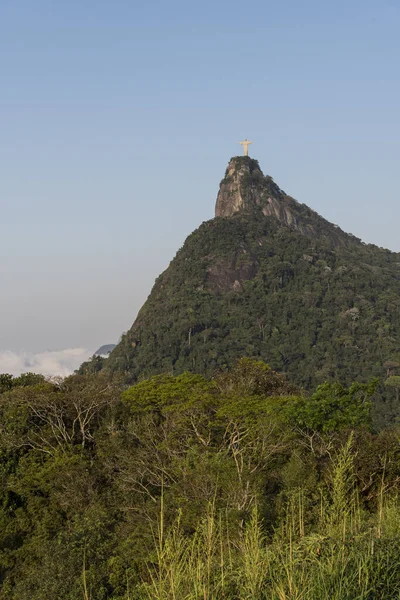 Beautiful landscape of Christ the Redeemer Statue over green Cor — Stock Photo, Image