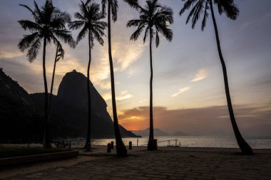 Brezilya 'nın Rio de Janeiro sahilindeki palmiye ağaçlarının arkasındaki Sugar Loaf Dağı ile güzel bir gün doğumu manzarası.