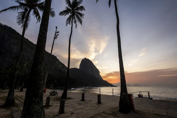Piękny Widok Wschód Słońca Sugar Loaf Mountain Palmami Plaży Rio — Zdjęcie stockowe
