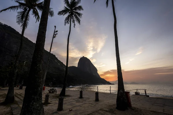 Bela Vista Nascer Sol Com Sugar Loaf Mountain Atrás Palmeiras — Fotografia de Stock