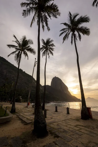 Вид Восход Солнца Горы Сахарная Голова Пальмами Пляже Рио Жанейро — стоковое фото