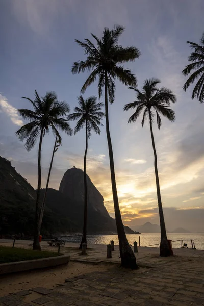 Вид Восход Солнца Горы Сахарная Голова Пальмами Пляже Рио Жанейро — стоковое фото