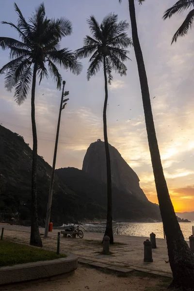 Krásný Výhled Východ Slunce Cukrem Loaf Mountain Palmami Pláži Rio — Stock fotografie