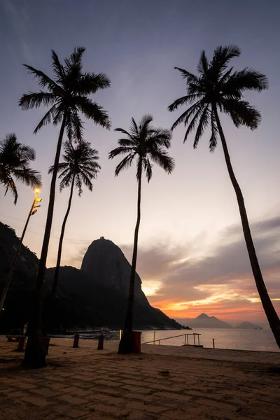 Brezilya Nın Rio Janeiro Sahilindeki Palmiye Ağaçlarının Arkasındaki Sugar Loaf — Stok fotoğraf