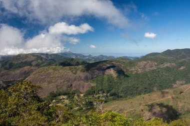 Brezilya Rio de Janeiro yakınlarındaki yeşil yağmur ormanlarının güzel manzarası