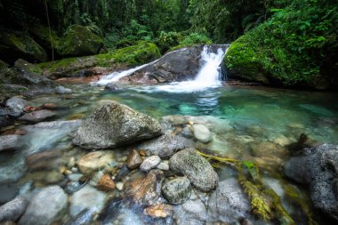 Vahşi yeşil arazi üzerinde mavi kristal berrak su havuzu olan güzel Atlantik yağmur ormanı nehri, Serrinha do Alambari, Serra da Mantiqueira, Rio de Janeiro, Brezilya