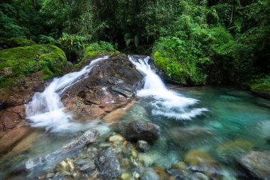 Vahşi yeşil arazi üzerinde mavi kristal berrak su havuzu olan güzel Atlantik yağmur ormanı nehri, Serrinha do Alambari, Serra da Mantiqueira, Rio de Janeiro, Brezilya