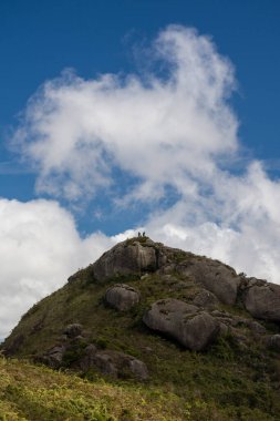 Brezilya Rio de Janeiro yakınlarındaki yeşil yağmur ormanlarının güzel manzarası