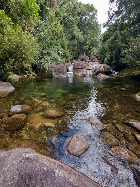 Selva Tropical Atlántica Reserva Ecológica Serrinha Alambari Río Janeiro Brasil — Foto de Stock