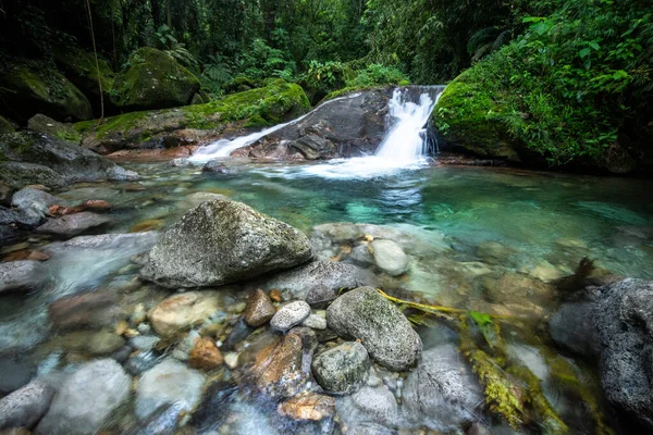 Vahşi yeşil arazi üzerinde mavi kristal berrak su havuzu olan güzel Atlantik yağmur ormanı nehri, Serrinha do Alambari, Serra da Mantiqueira, Rio de Janeiro, Brezilya