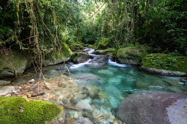 Güzel Kristal Berrak Nehir Yeşil Yağmur Ormanı Manzarasında Mavi Rio — Stok fotoğraf