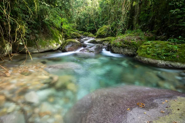 巴西里约热内卢山区塞林哈生态保护区 美丽的水晶清澈的河流 碧水碧绿的热带雨林景观 — 图库照片