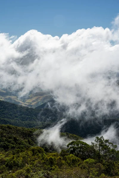 브라질 리오데자네이로 아래있는 우림의 아름다운 — 스톡 사진