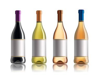 Kırmızı şarap şişesi. Beyaz, gül ve kırmızı şarap şişeleri kümesi. Beyaz arka plan üzerinde izole.