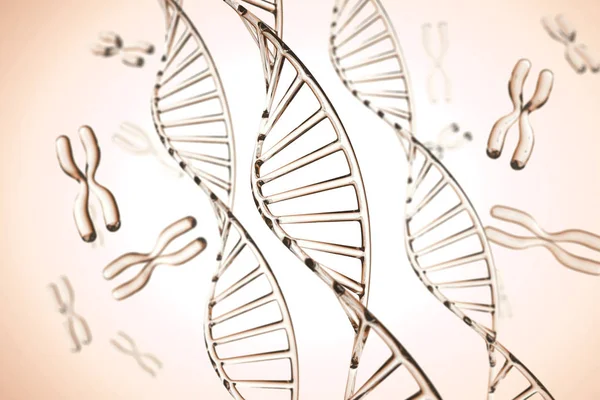 Абстрактный фон. Молекула ДНК с X хромосомами — стоковое фото
