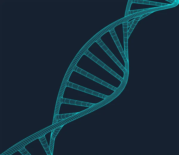 Szürke DNS sokszög vonal a kék háttér. Sokszögű tér alacsony poly-val összekötő pontok és vonalak. Kapcsolat-felépítés. Vektor tudományos háttér. — Stock Vector