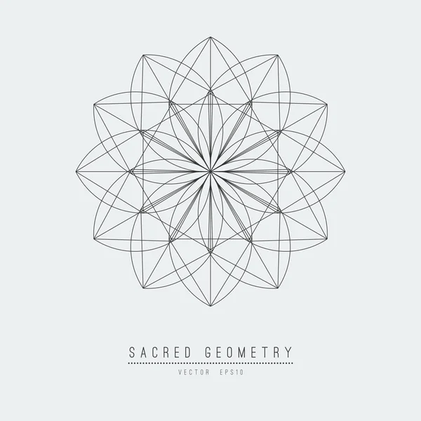 Sacred geometry line element flower of life. иллюстрация  . — стоковое фото