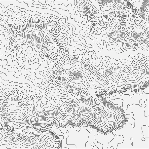 Concepto de fondo de mapa topográfico con espacio para su copia. Topo contorno mapa fondo, vector ilustración — Vector de stock
