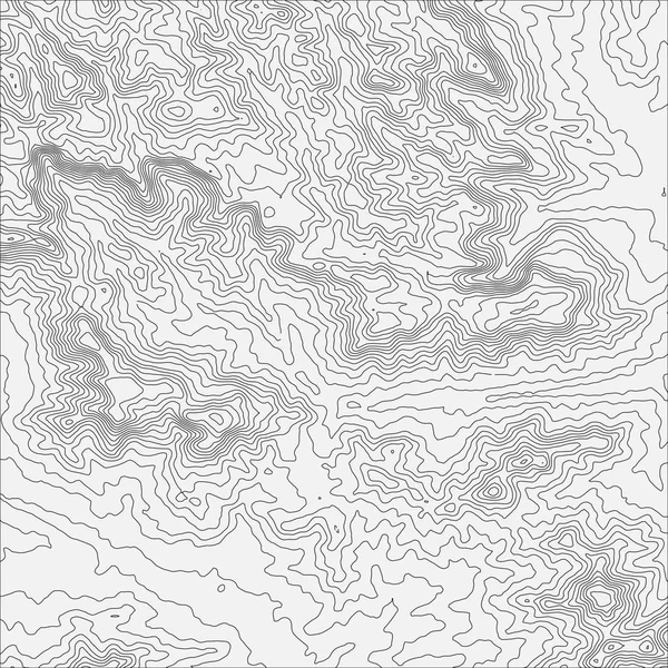 Concepto de fondo de mapa topográfico con espacio para su copia. Topo contorno mapa fondo, vector ilustración — Archivo Imágenes Vectoriales