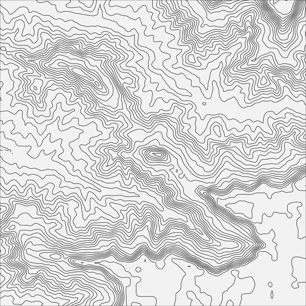 Concept de fond de carte topographique avec espace pour votre copie. Topo contour fond de carte, illustration vectorielle — Image vectorielle